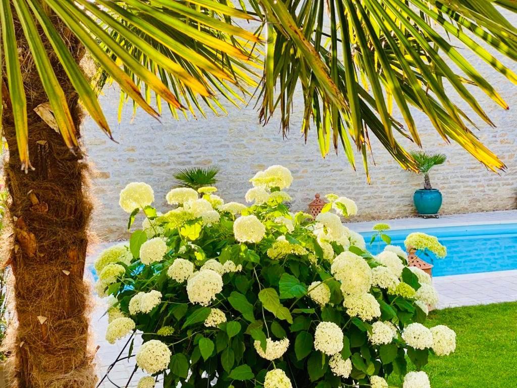 "Le Jardin" Chambre De Charme, Piscine A Мерсо Экстерьер фото